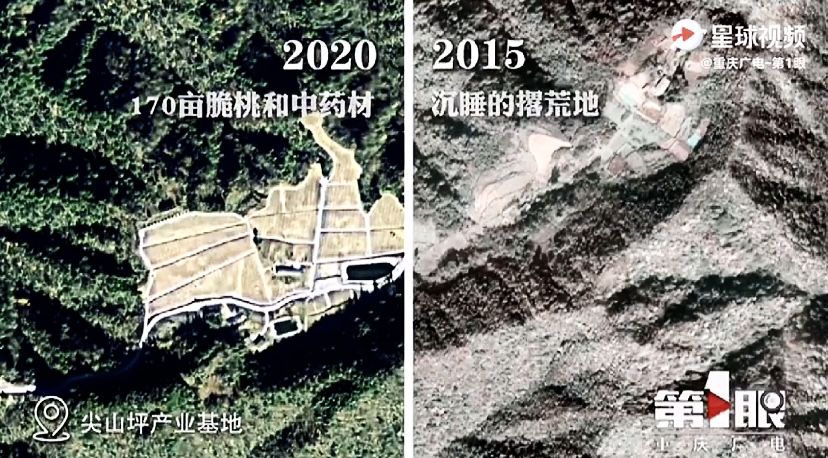 熊猫体育教工一支部和石柱縣中益鄉小學支部結對共建🚴🏽♀️,同話脫貧攻堅02.png